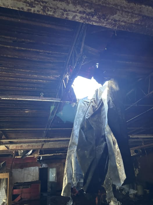 56 Tree down - Roof inspection - Water s