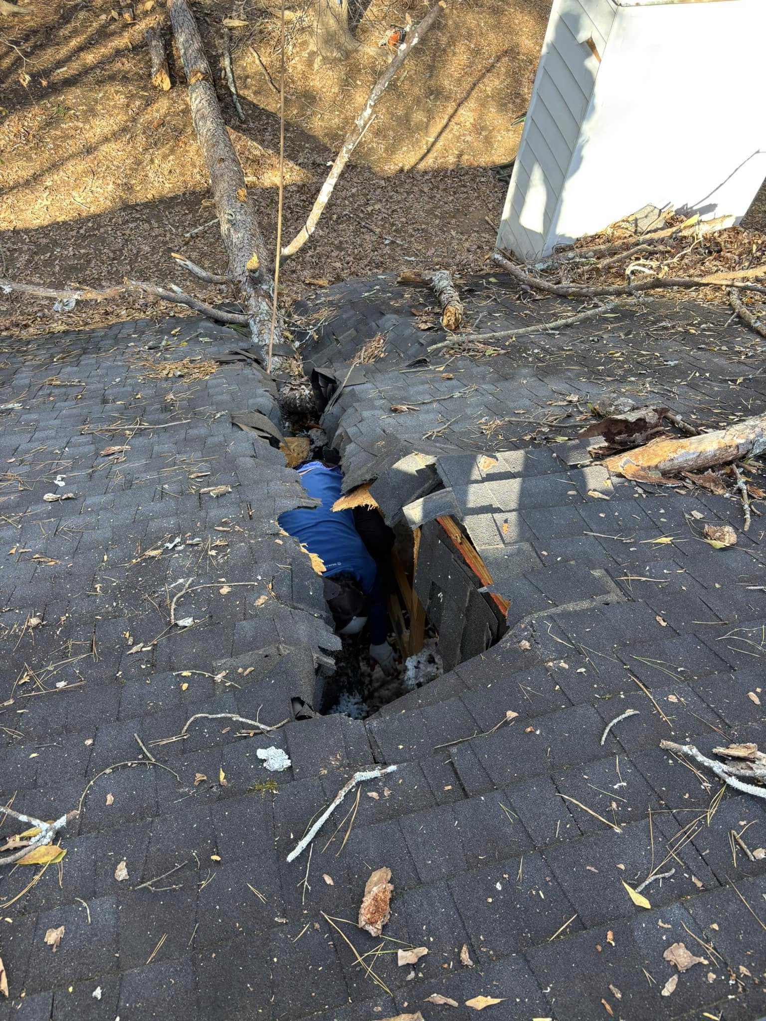high winds and rain blew through overnig